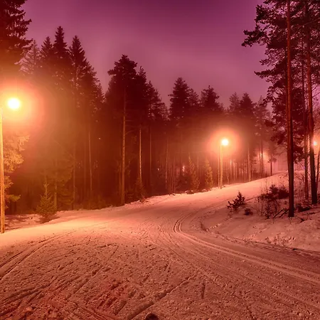 Appartement Saimaa Life *