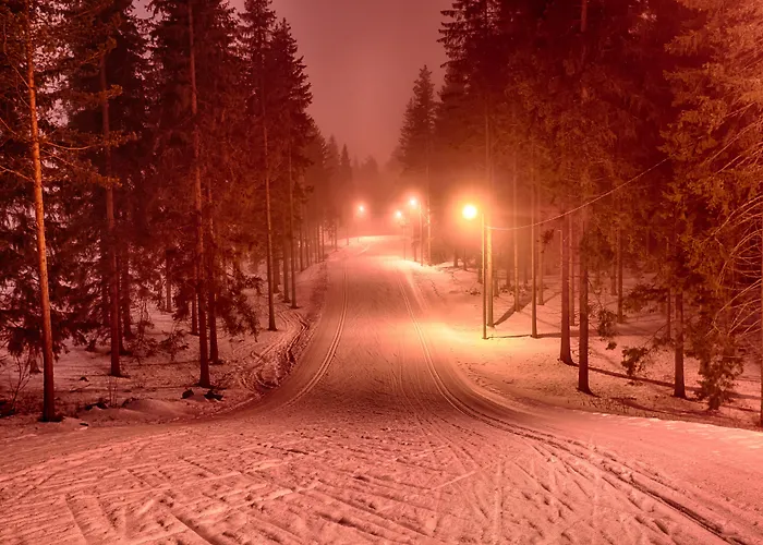 Saimaa Life إيماترا