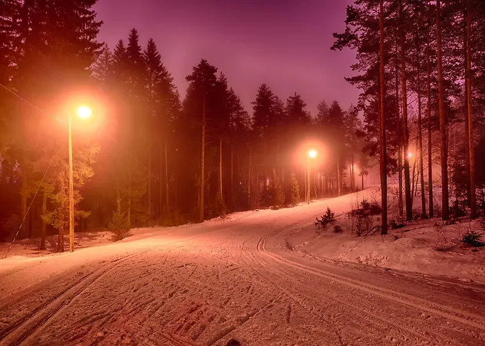 شقة Saimaa Life *